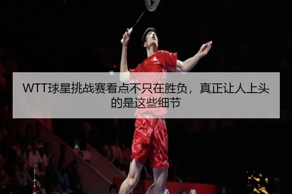 WTT球星挑战赛看点不只在胜负，真正让人上头的是这些细节